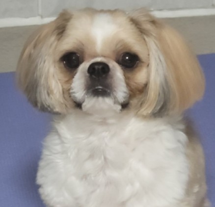 블로그 이미지