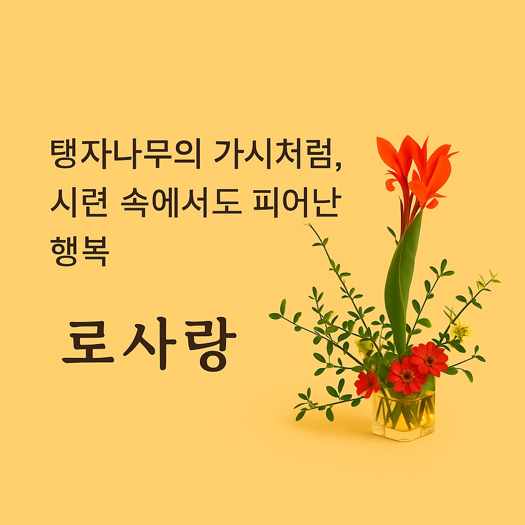 프로필사진