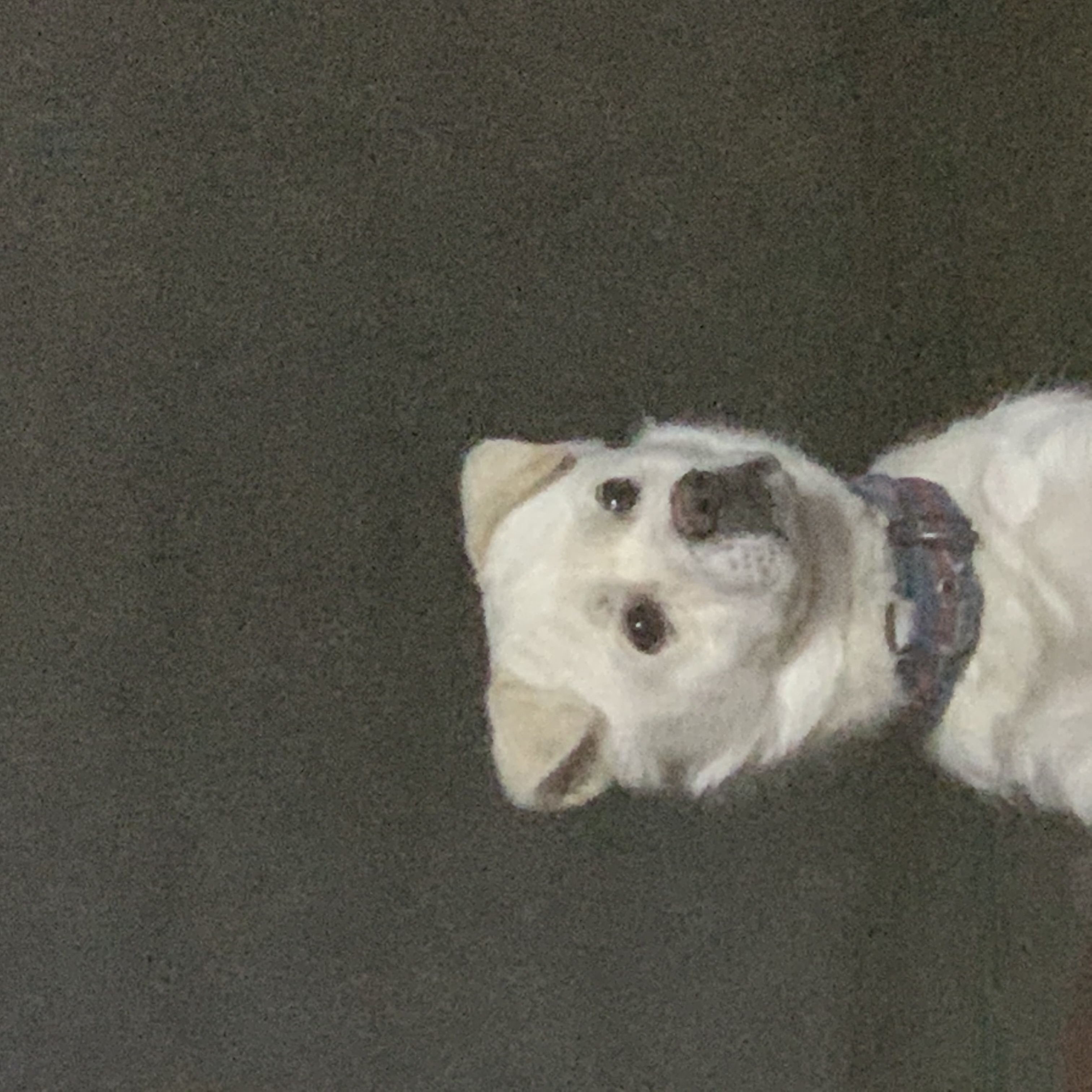 프로필사진