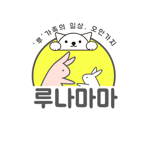 프로필사진