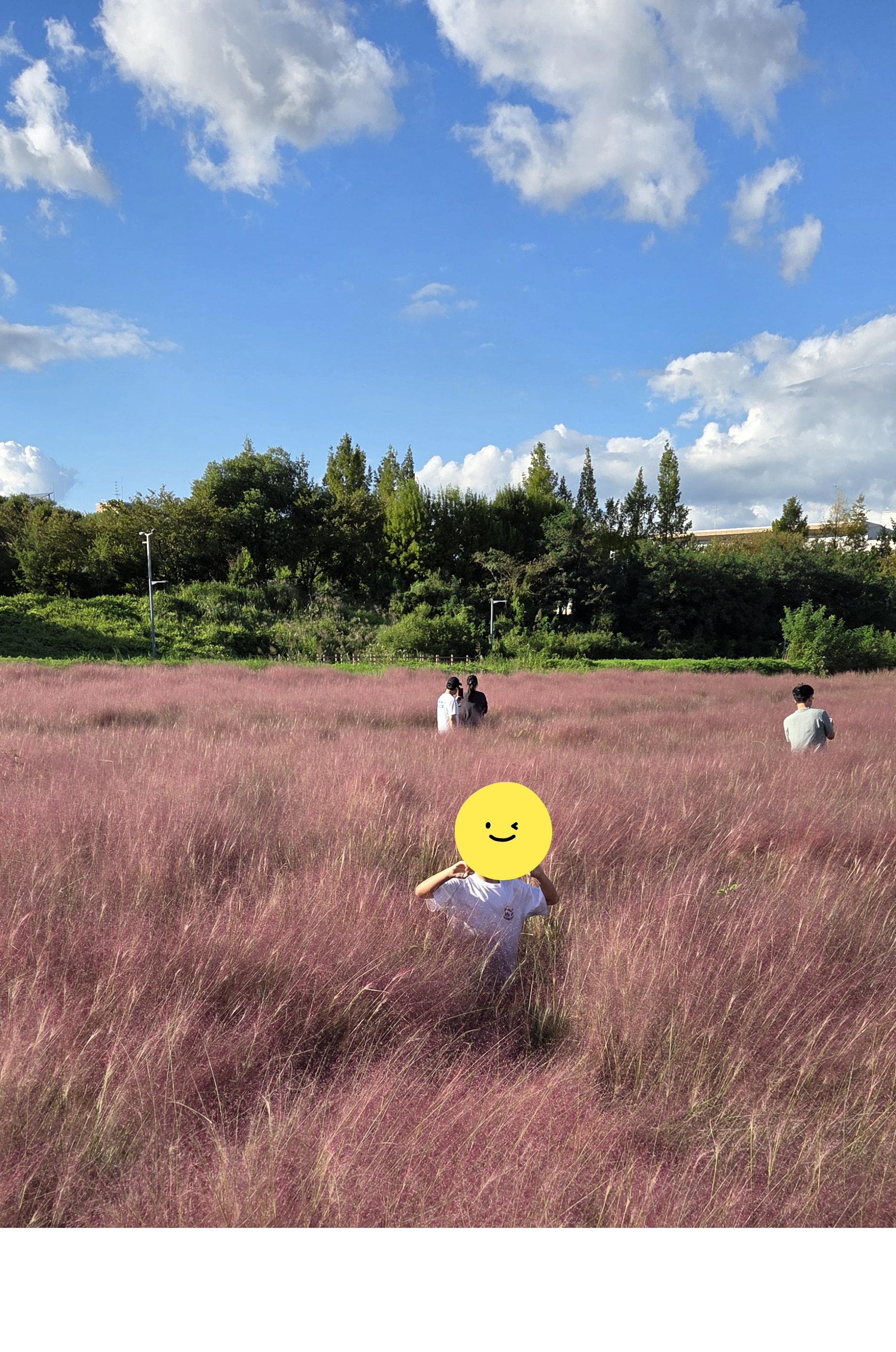 프로필사진
