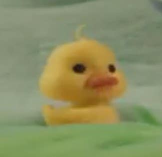 프로필사진