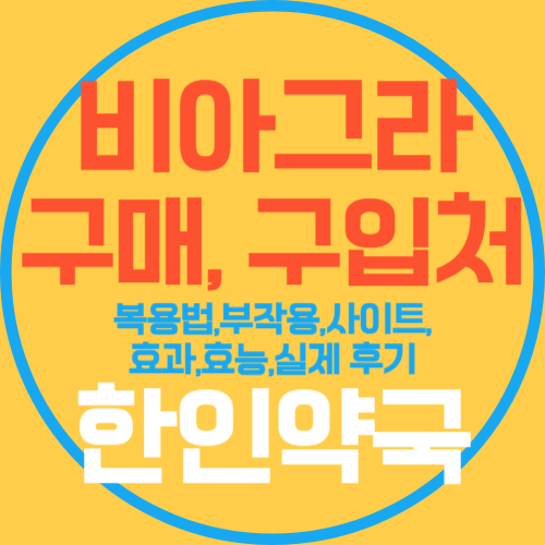 프로필사진