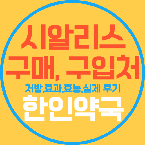 프로필사진