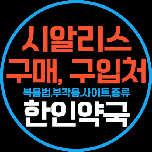 프로필사진