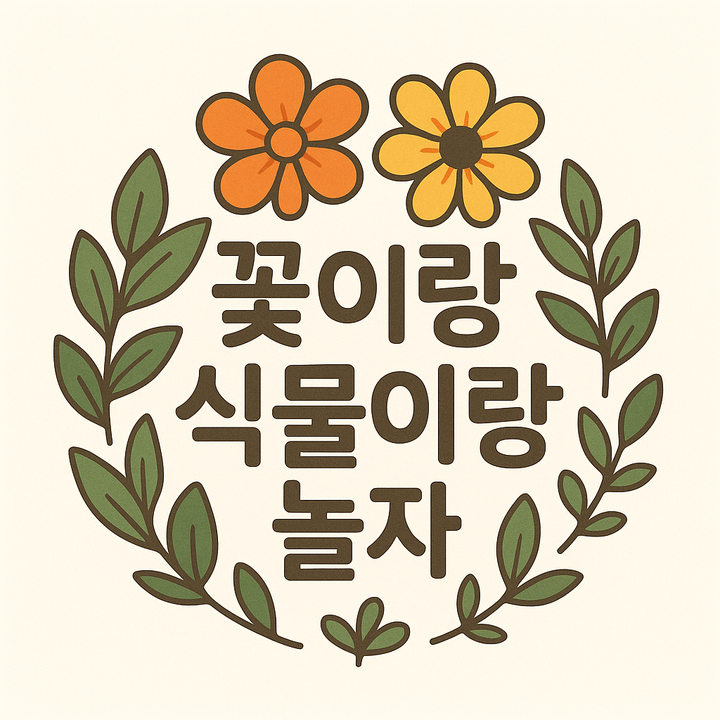 블로그 이미지