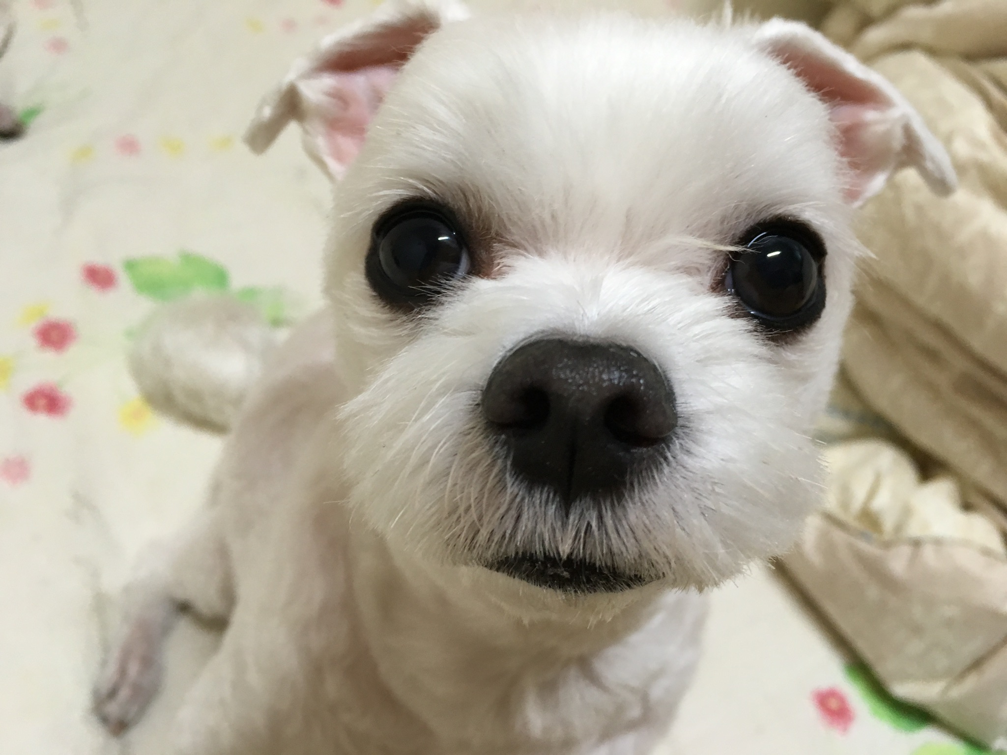 프로필사진