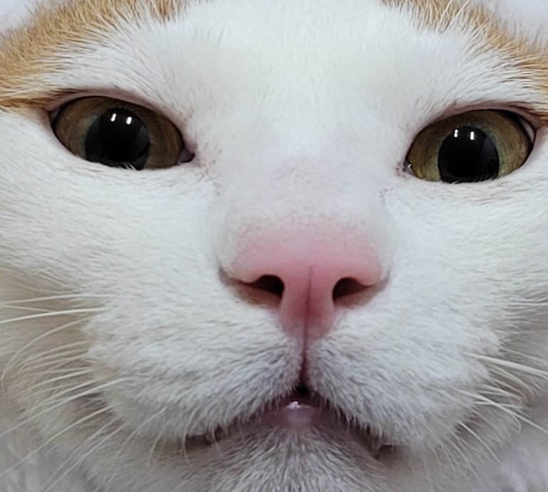 프로필사진