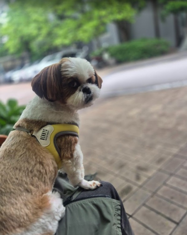 프로필사진