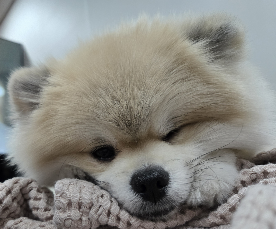프로필사진