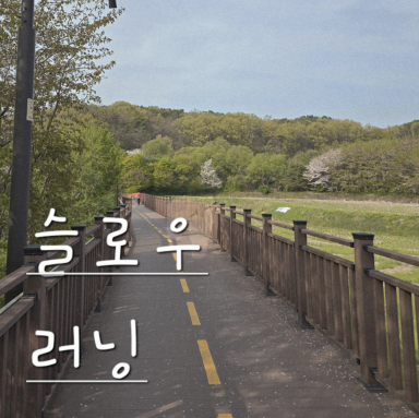 프로필 로고