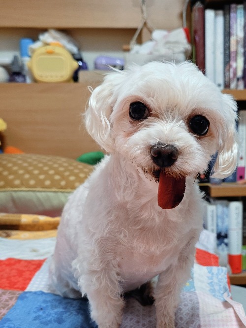 블로그 이미지