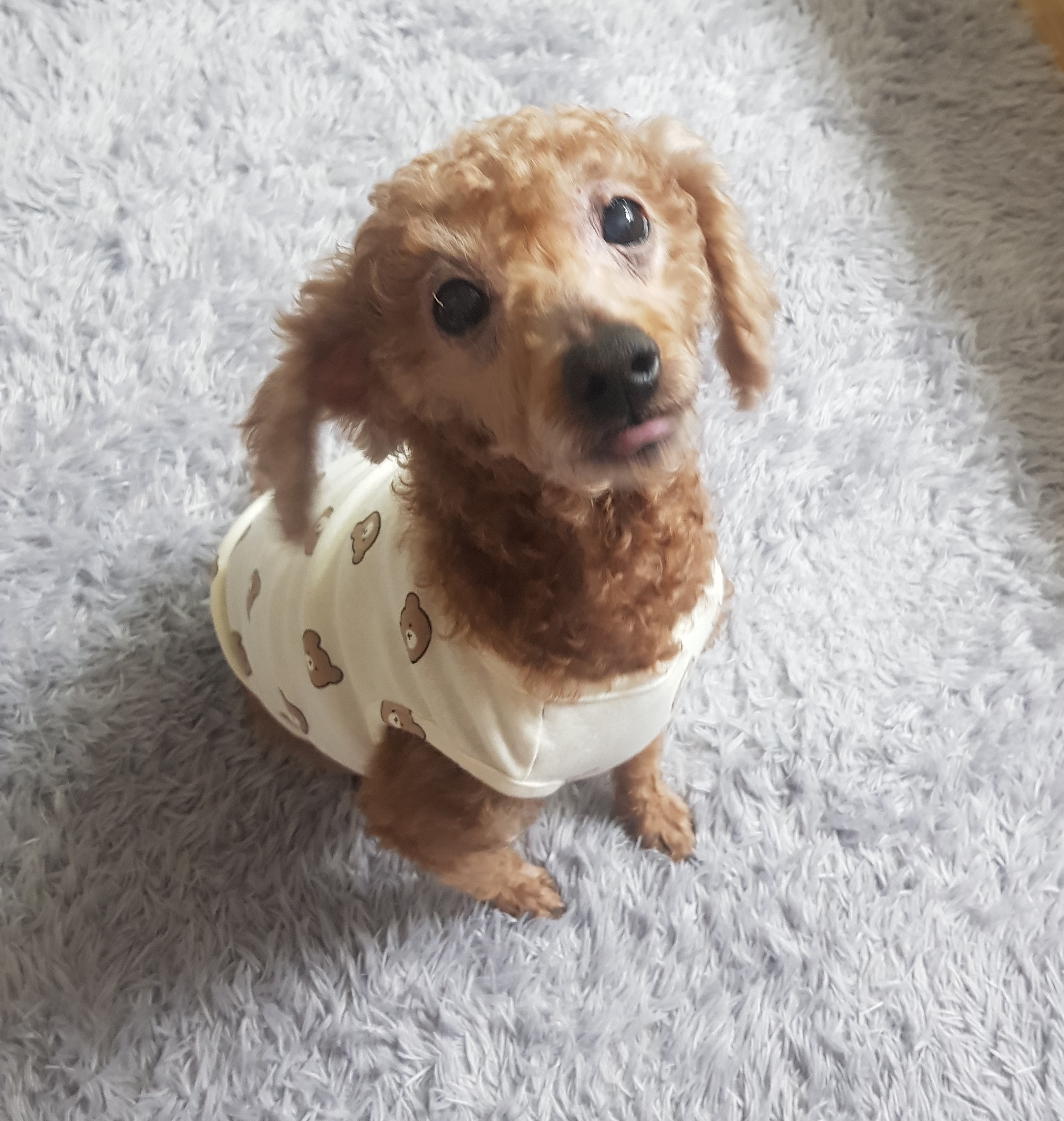 프로필사진
