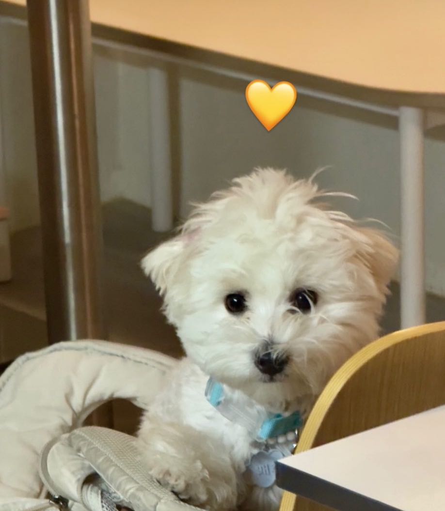프로필사진