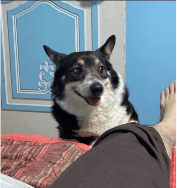 프로필사진