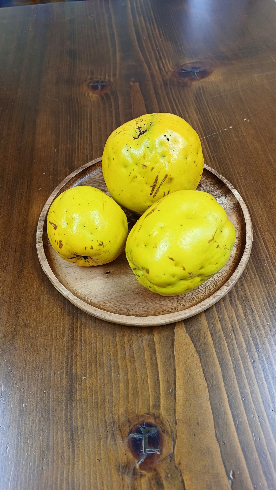 \u3147\uc608\uc220\uac00\uc758 \uae38 - \ubd80\uc871\uacfc \uc5f4\uc815\uc0ac\uc774\uc758 \uade0\ud615