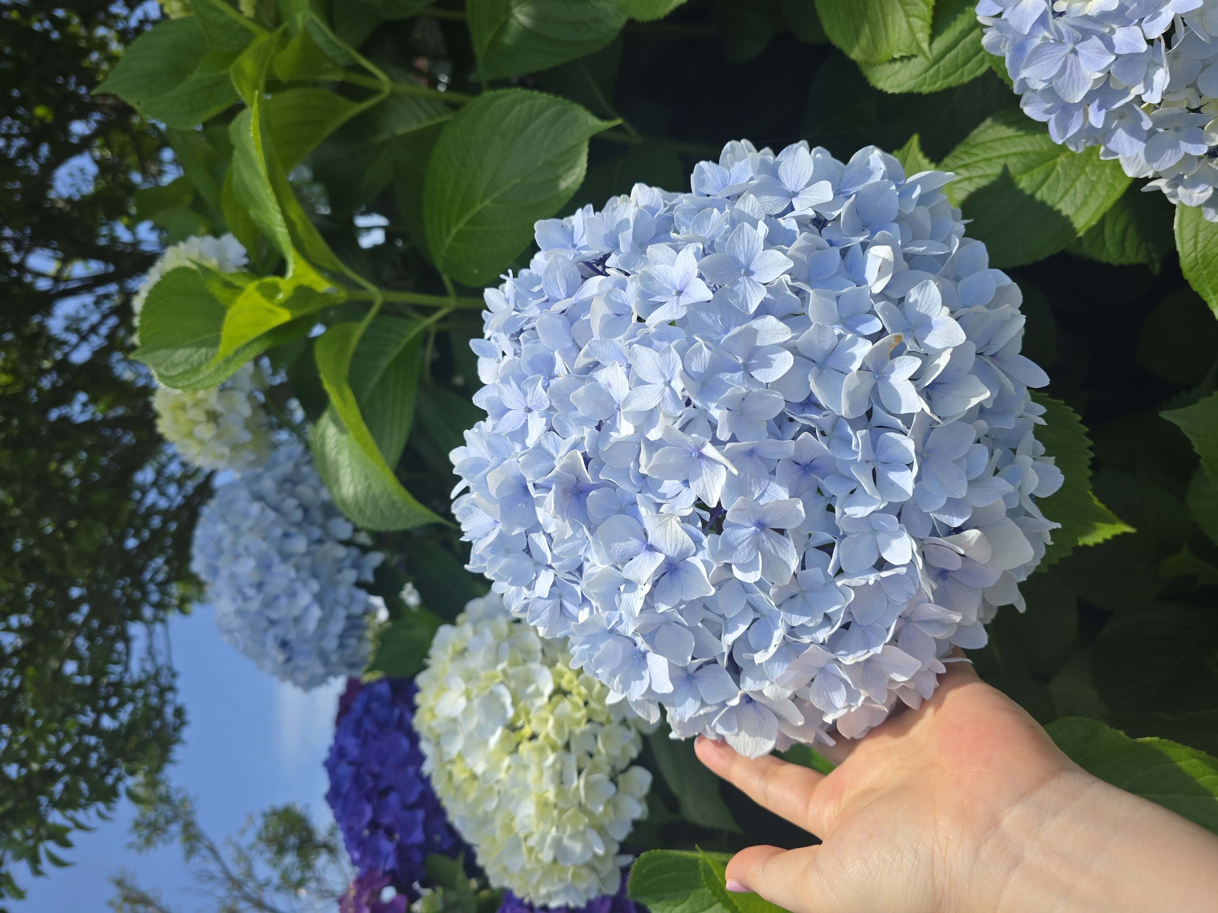 프로필사진