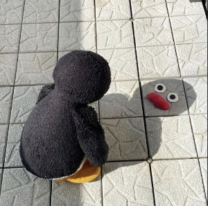 블로그 이미지