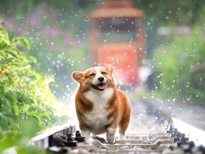 프로필사진