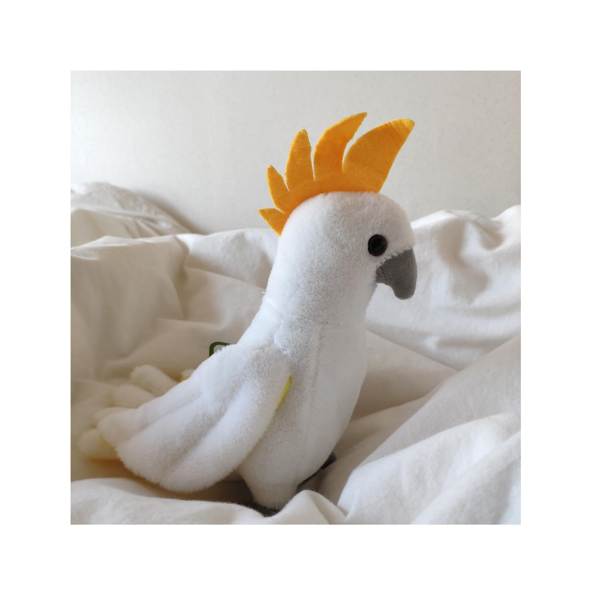 프로필사진