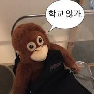 프로필사진