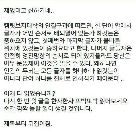 프로필사진