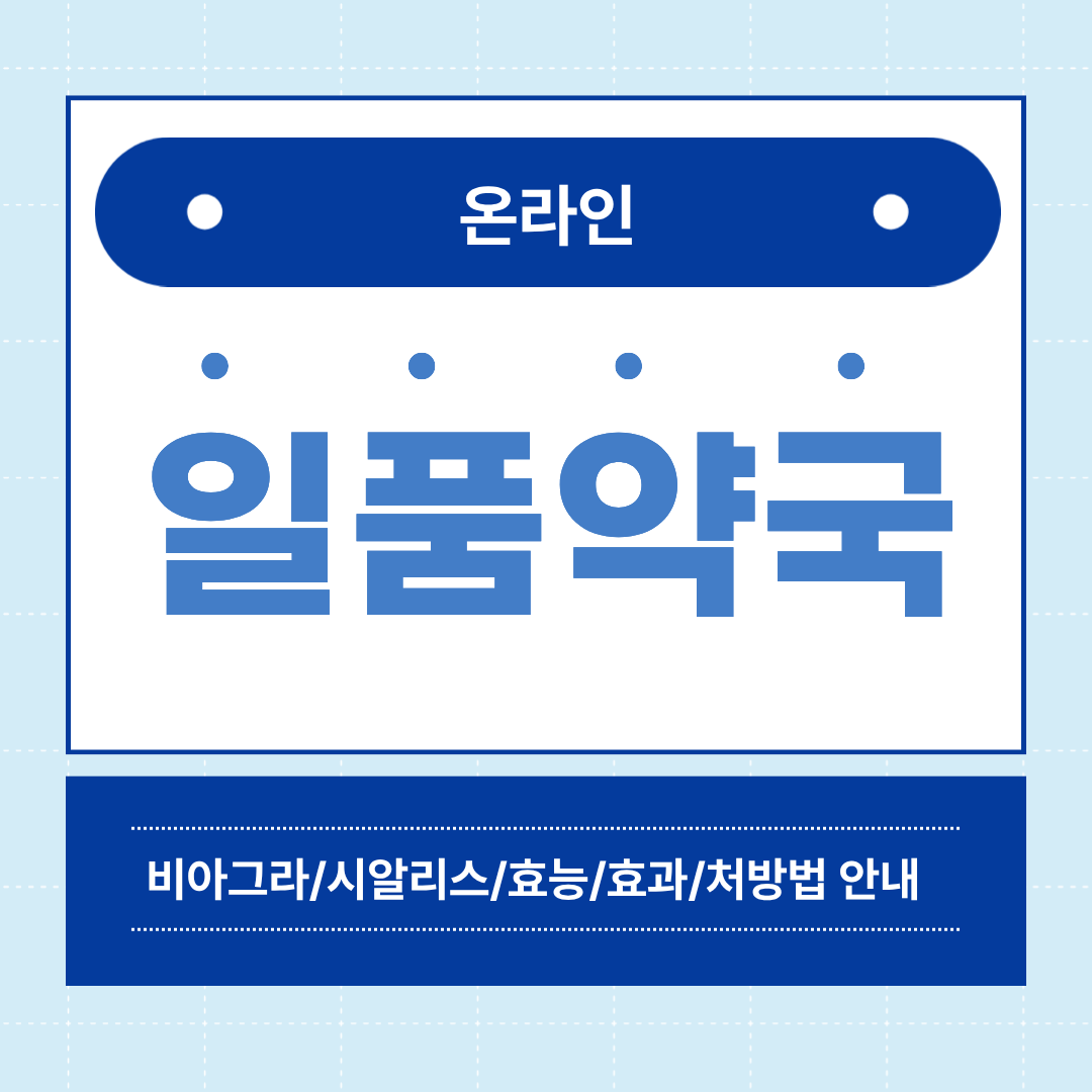 프로필사진