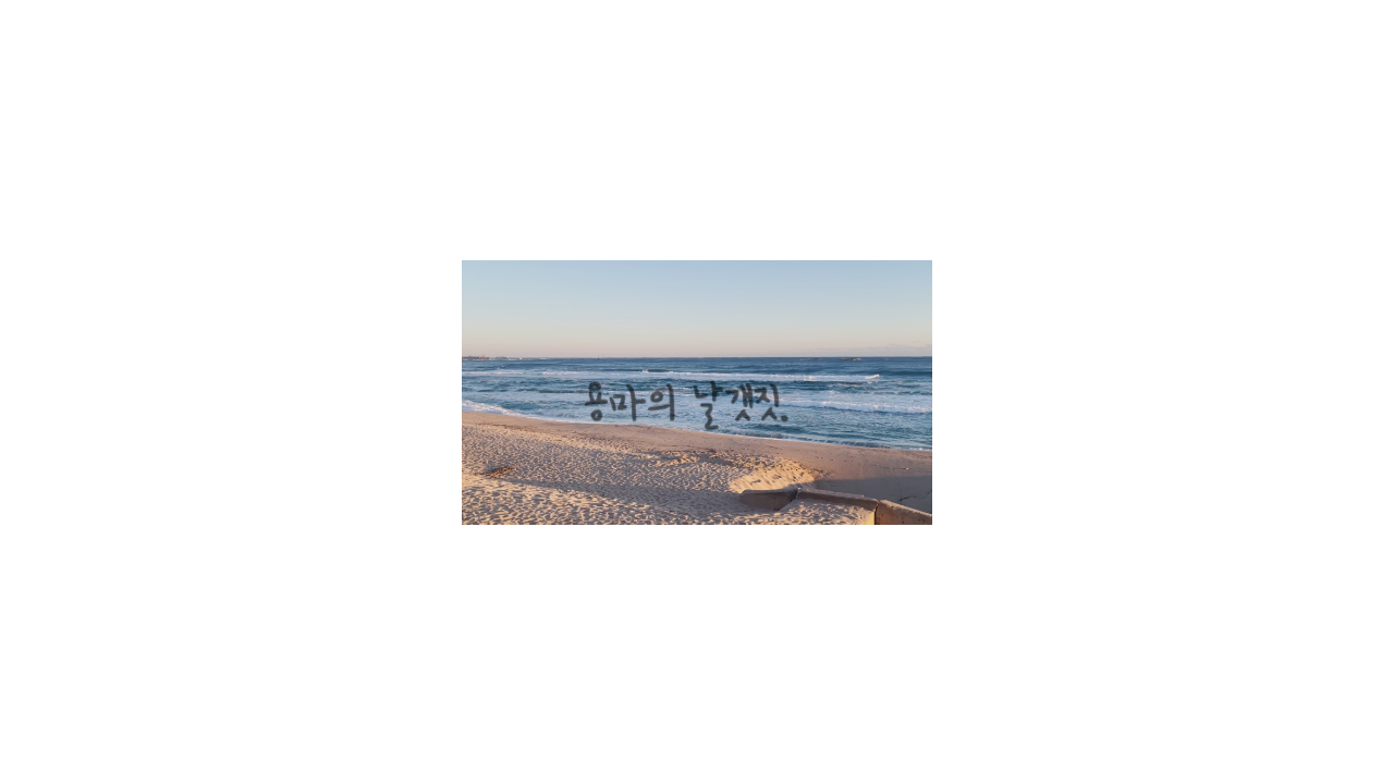 프로필사진