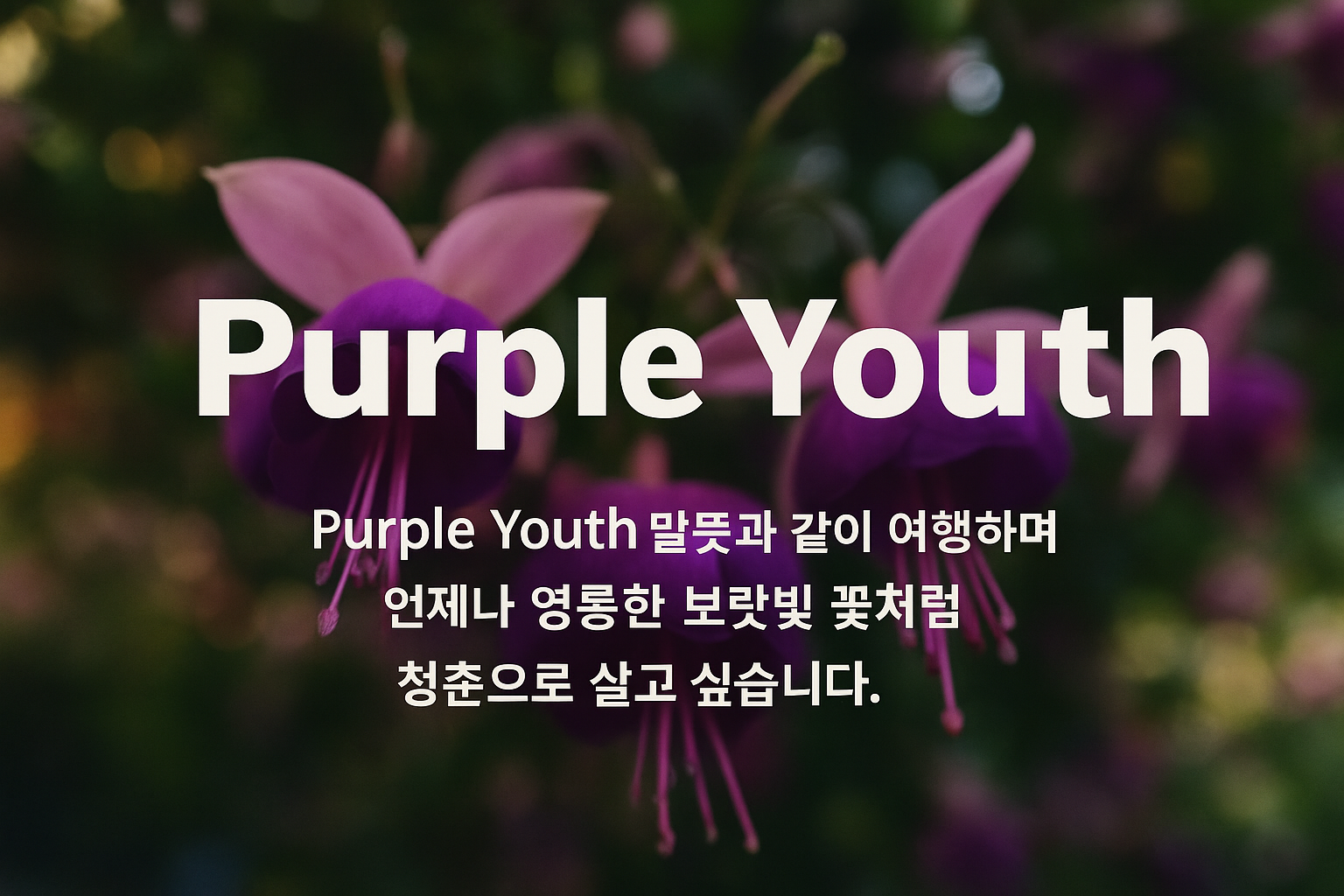 블로그 이미지