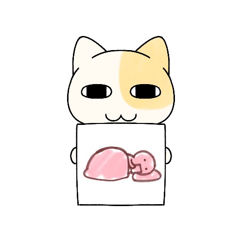 프로필사진