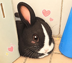 블로그 이미지