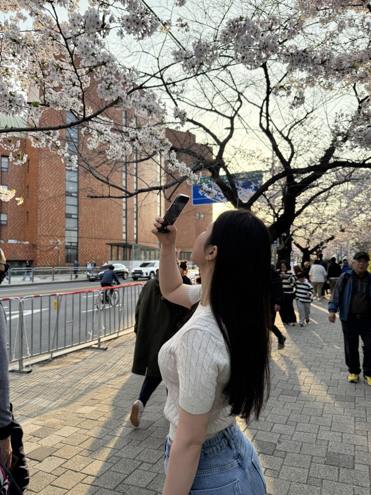 프로필사진