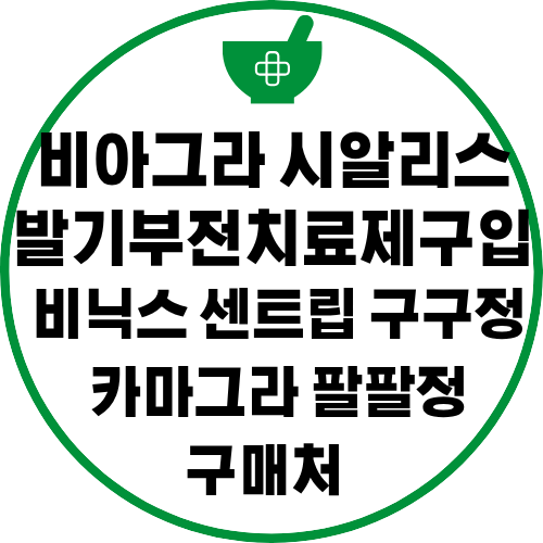 프로필사진