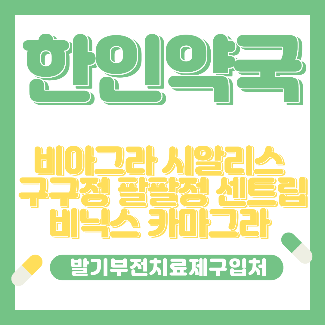 프로필사진
