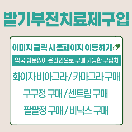 프로필사진