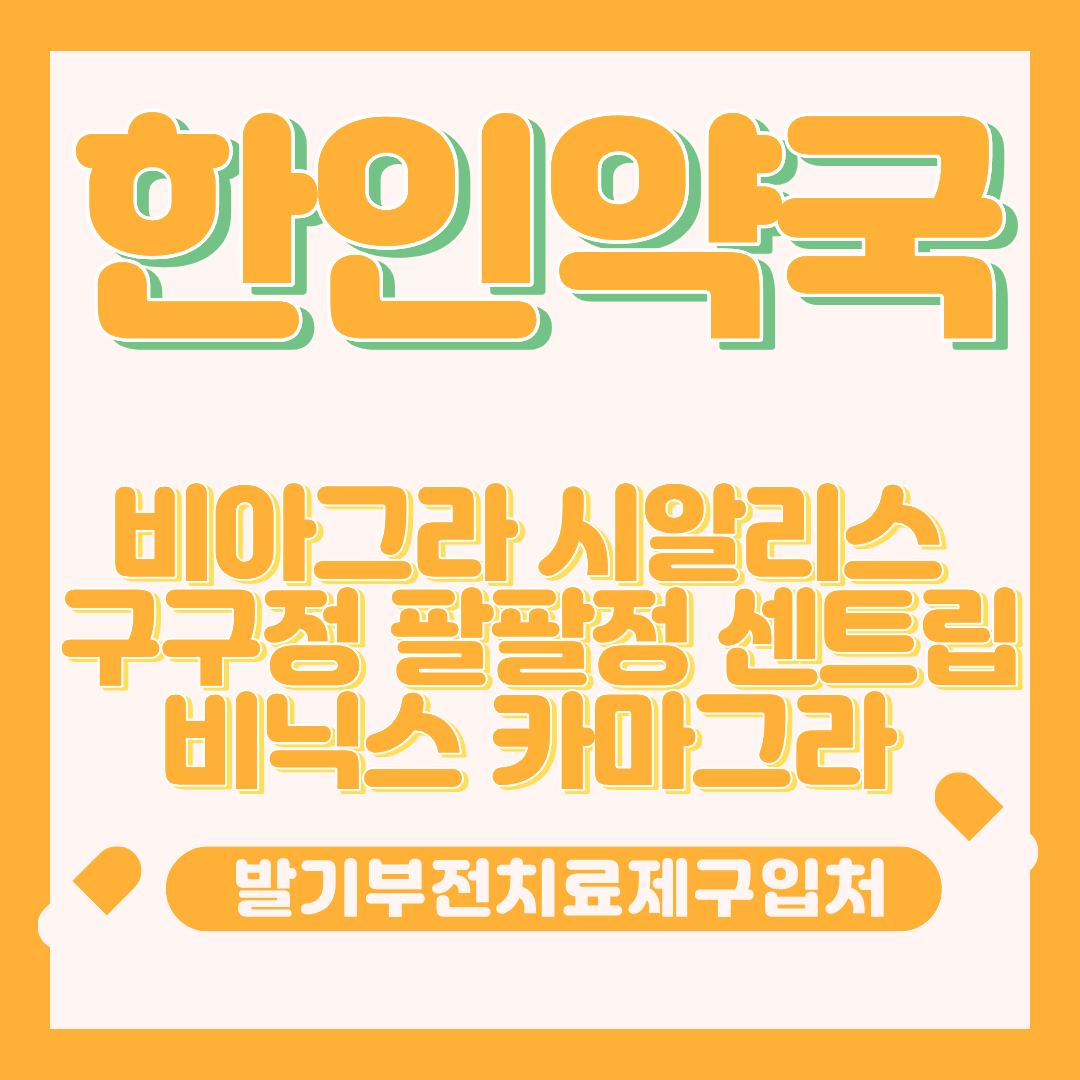 프로필사진