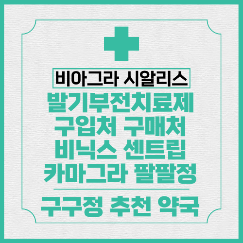 프로필사진