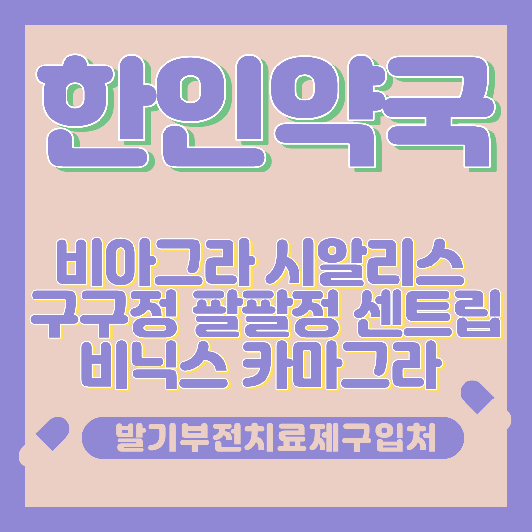 프로필사진