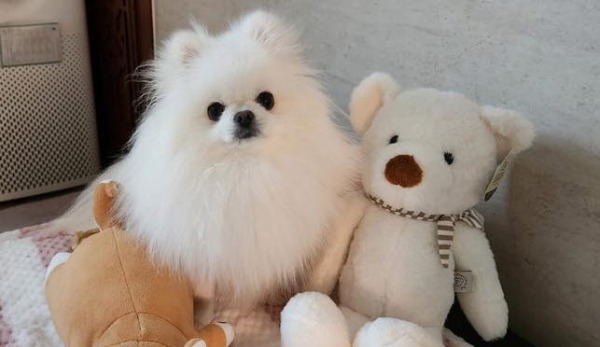 블로그 이미지