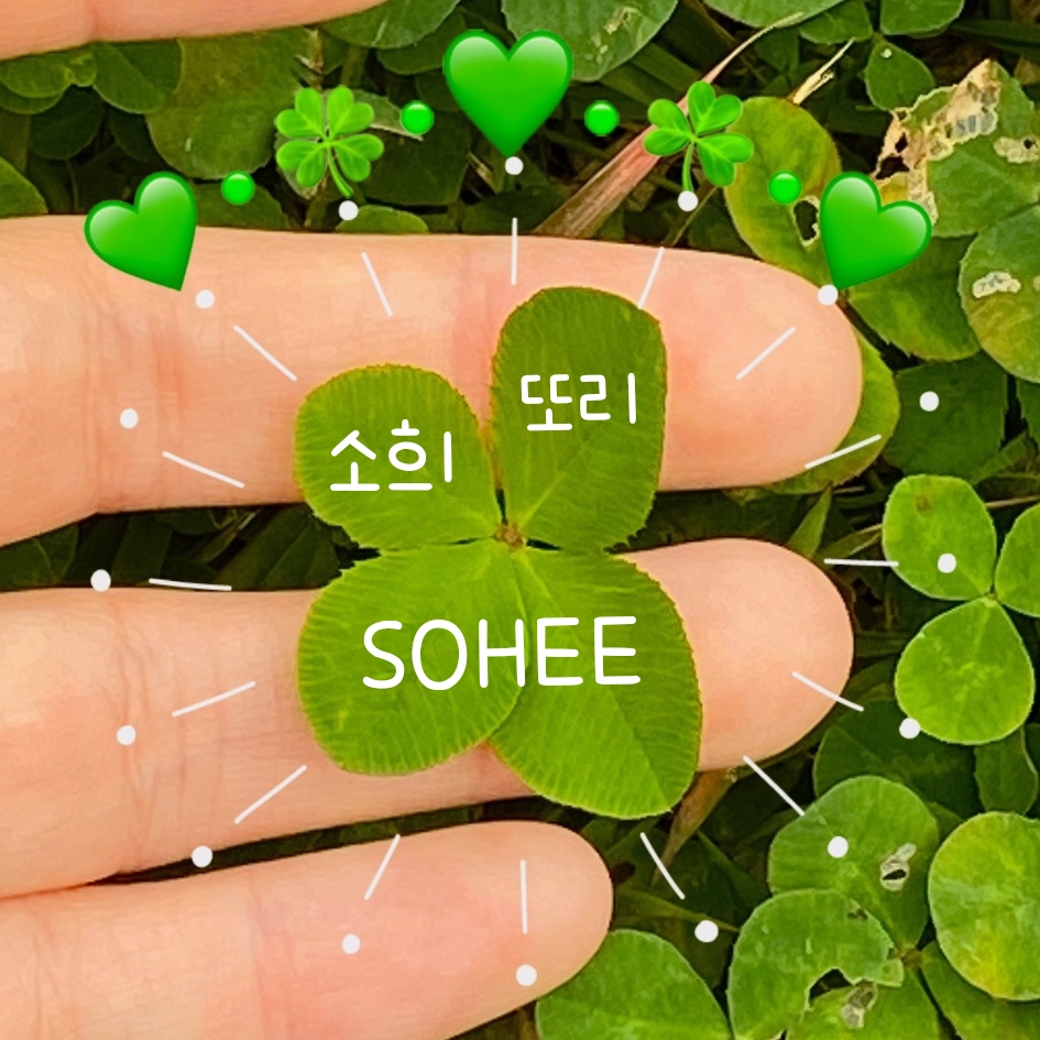 블로그 이미지