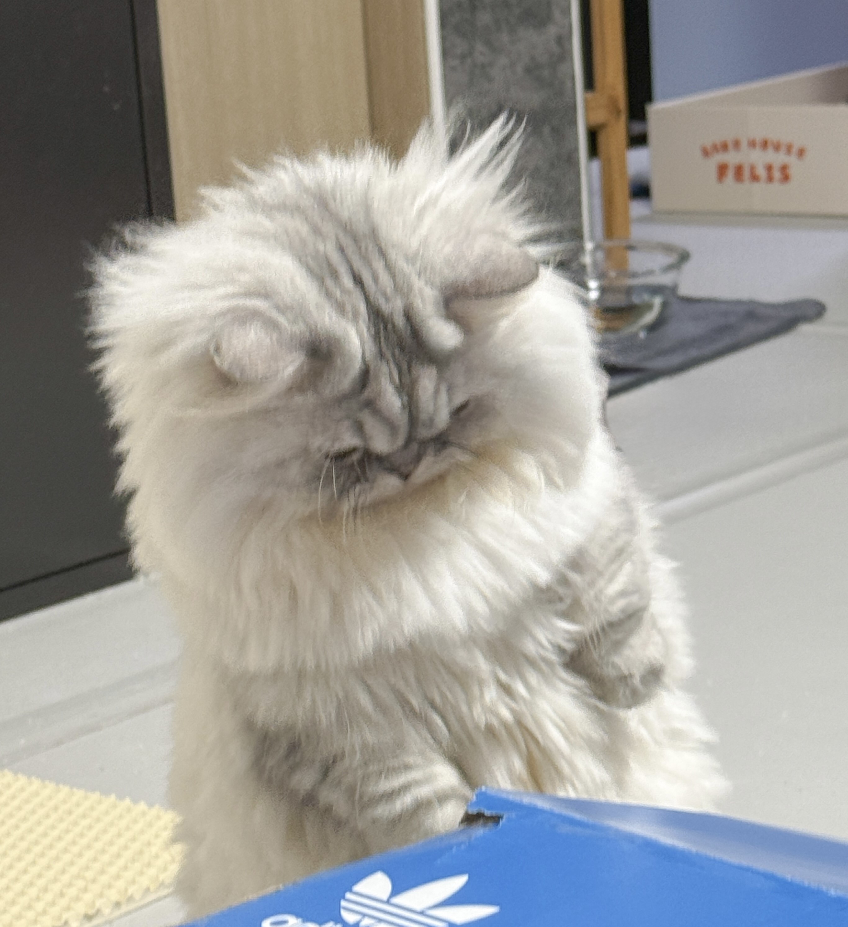프로필사진
