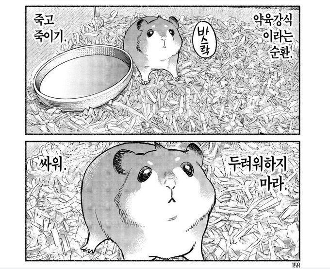 프로필사진