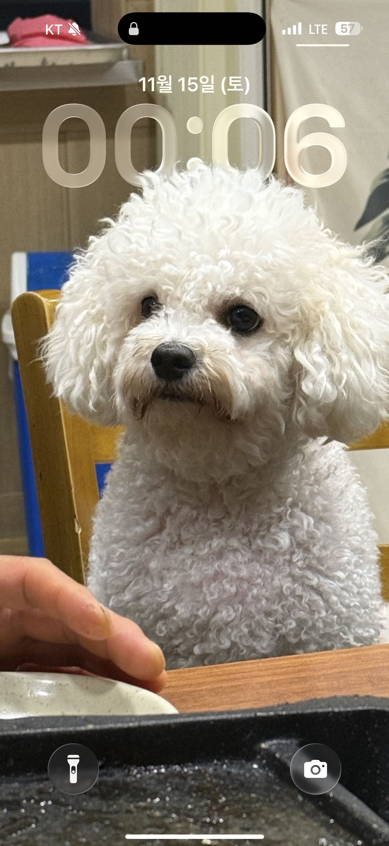 프로필사진