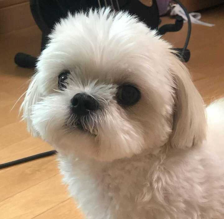 프로필사진