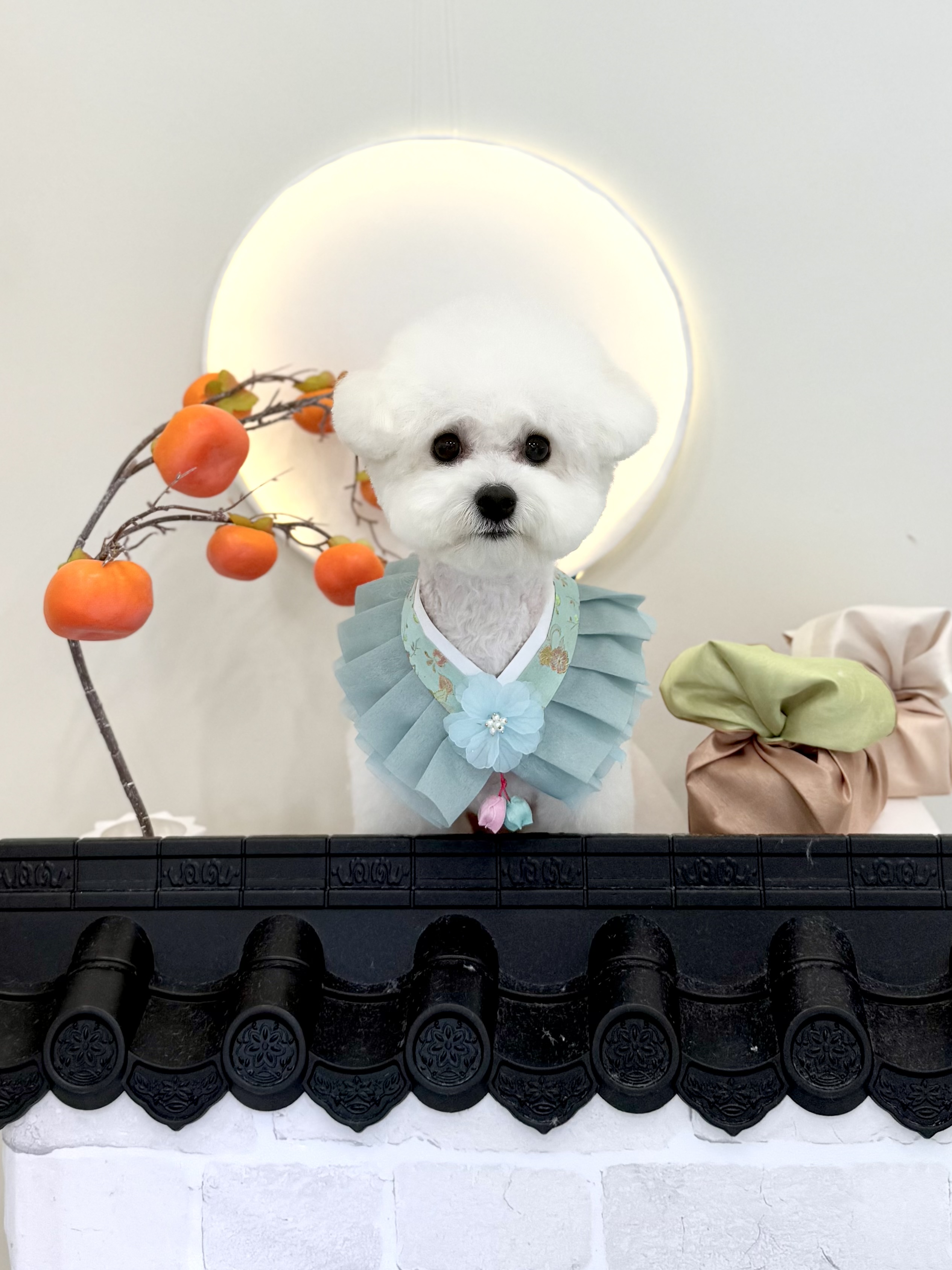 프로필사진