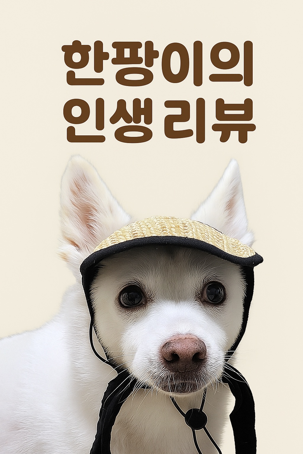 블로그 이미지