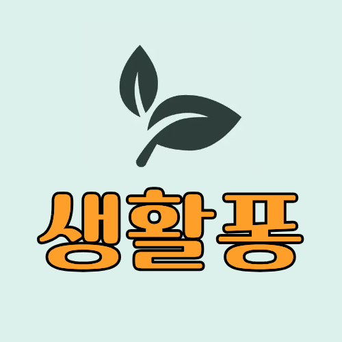 프로필사진