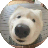 프로필사진