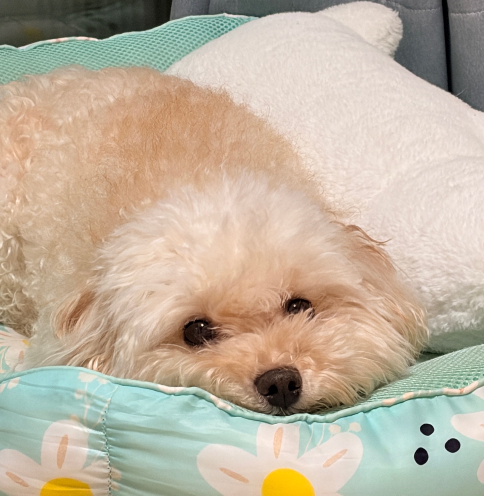 프로필사진