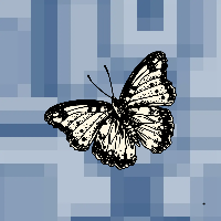 프로필사진